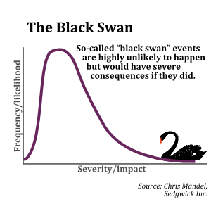 risk and fear of the black swan